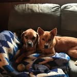 Andrew Emmert - @emmert.andrew - Instagram