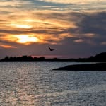 Andrew Emmert - @andrew_emmert_ - Instagram