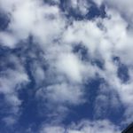 Drew Estep - @drew.estep - Instagram