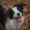 drewfarley18641 - @drewfarley18641 - TikTok