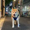 drewfarley74687 - @drewfarley74687 - TikTok