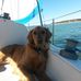 Drew Faught - Facebook