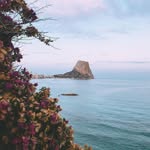 @drewfelland - Instagram