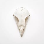 Andrew Finney - @dinglebox - Instagram