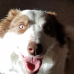 Drew Fisher - @drewfisher4458 - Instagram