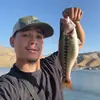 ThatGuyDrewGottaCatch’Em559 - @drewfishing559 - TikTok