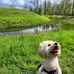Andrew Fitzpatrick - Facebook