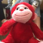 Drew Gebstadt-Fitzpatrick - @drew_the_monkey - Instagram