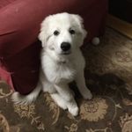 Drew Flaherty - @drew_flaherty1129 - Instagram