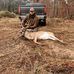Drew Fox - Facebook