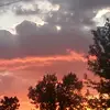 Drewsiphine - @drewgarner0 - TikTok