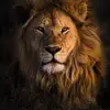 Drew Gates - @drew.gates7 - TikTok