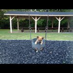 @drewgates - Instagram