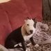 Drew Geer - Facebook