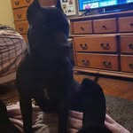 Drew Geer - @drewgeer84 - Instagram