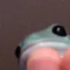 user3527464851710 - @drewgough32 - TikTok