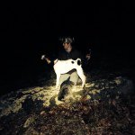 drew graham - @dgraham16gilesk12org - Instagram
