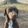 Drew Graham - @drew.graham959 - TikTok