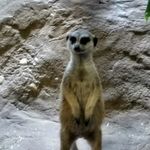 Drew Harker - @harker.drew - Instagram