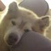 Drew Hauser - Facebook