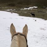 Drew Hayes - @hayesranch - Instagram