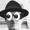 drewharder2 - @drewharder2 - TikTok
