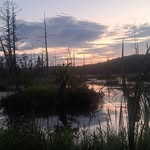 Drew Herron - @drew.herron.5 - Instagram