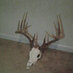 Drew Hogan - @wildlife_freak - Instagram