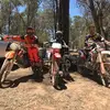 Drew Hogan - @drewhogan2006 - TikTok