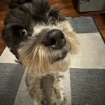 Drew Holtz - @holtz.drew - Instagram