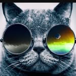 Drew - @drewhorn2017 - Instagram