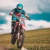 Drew - @drewtriebelhorn1 - TikTok
