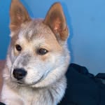 Drew Horton - @drew.horton584 - Instagram
