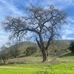 Drew Horowitz - Facebook