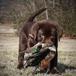 Drew Hunter - @drewhunter1337 - Instagram