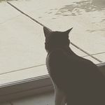 Drew Jacobson - @drew_jacobson__ - Instagram