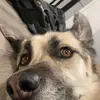 Drew Kirk - @drew.kirk - TikTok