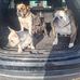 Andrew Kuntz - Facebook