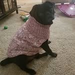 Drew Laird - @drew.laird.16 - Instagram