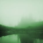 Drew Lawrence - @seetreesband - Instagram