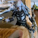 Drew Lichtenfield - @predator_bob_and_friends - Instagram