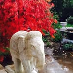 Drew Lindsay - @drewlindsay63 - Instagram