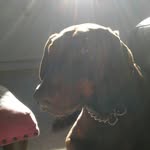 Drew littlejohns - @drewlittlejohns - Instagram