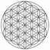 Drew Lo - Facebook