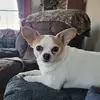 Nicky Drewlo - @nicky.drewlo - TikTok
