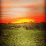 Drew Lowery - @loweryd70 - Instagram