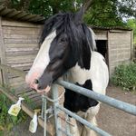 Andrew Lowther - @andylowther1 - Instagram