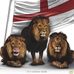 Andrew Lowther - Facebook