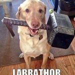 Drew Lowther - @lowtherdrew - Instagram
