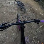 Drew lundie - @drew.lundie - Instagram